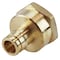 Apollo 1/2 in. Brass PEX-A Barb x 3/4 FNPT Reducing Female Adapter EPXFA1234 - alternate 3
